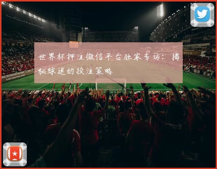 世界杯押注微信平台独家专访：揭秘球迷的投注策略