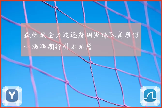 森林狼全力追逐詹姆斯球队高层信心满满期待引进老詹