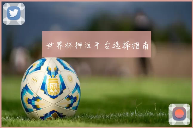 世界杯押注平台选择指南