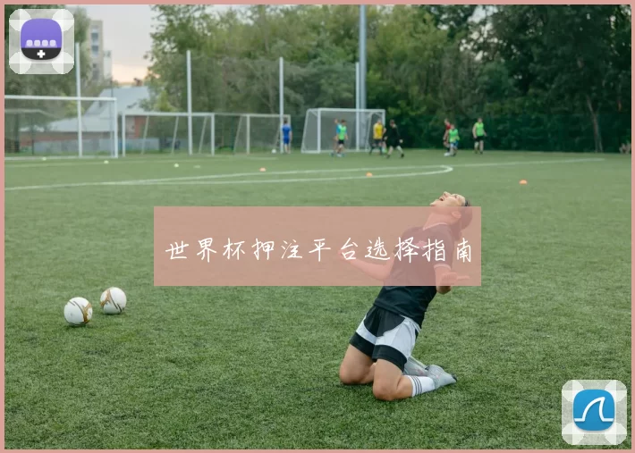 世界杯押注平台选择指南