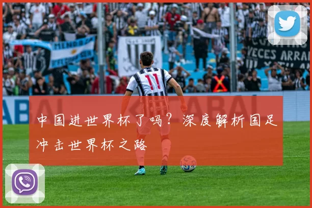 中国进世界杯了吗?深度解析国足冲击世界杯之路