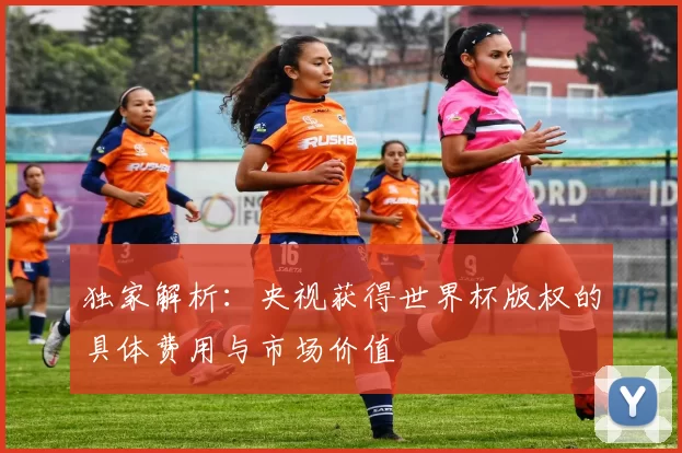 独家解析：央视获得世界杯版权的具体费用与市场价值