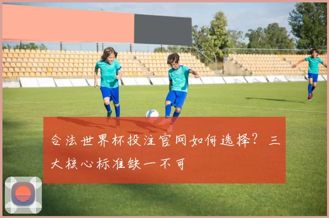 合法世界杯投注官网如何选择?三大核心标准缺一不可