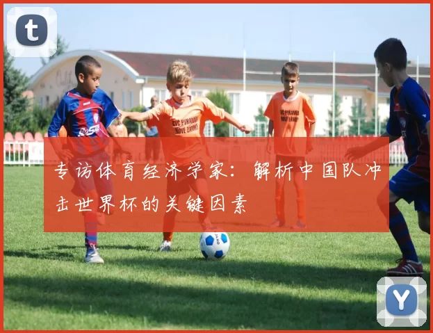 专访体育经济学家:解析中国队冲击世界杯的关键因素