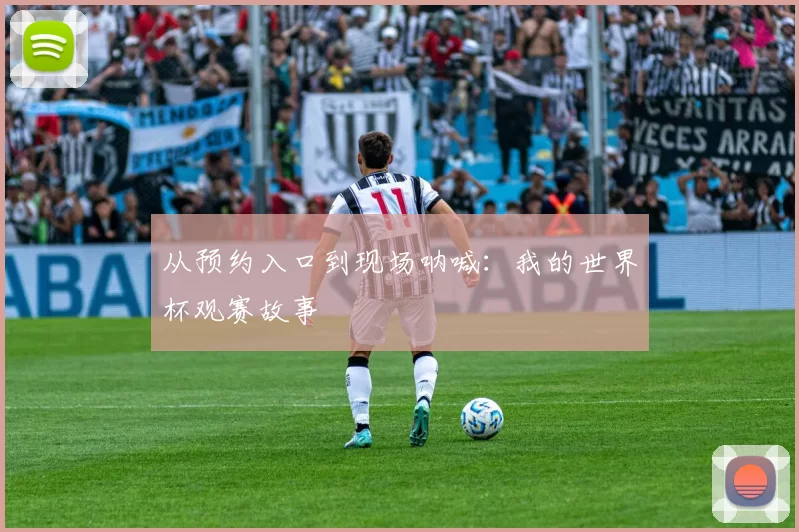从预约入口到现场呐喊：我的世界杯观赛故事