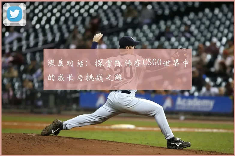 深度对话：探索陈伟在CSGO世界中的成长与挑战之路