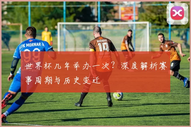世界杯几年举办一次？深度解析赛事周期与历史变迁