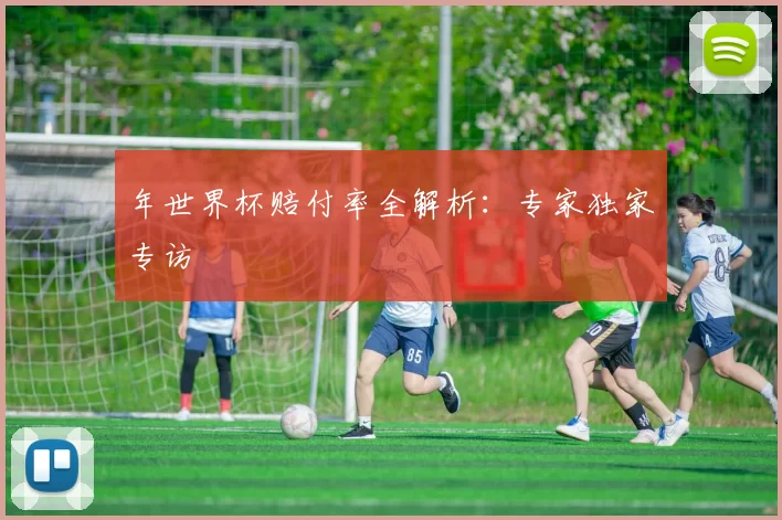 年世界杯赔付率全解析:专家独家专访