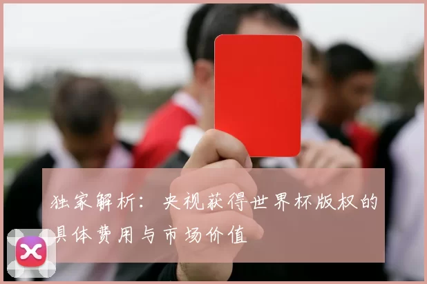 独家解析:央视获得世界杯版权的具体费用与市场价值
