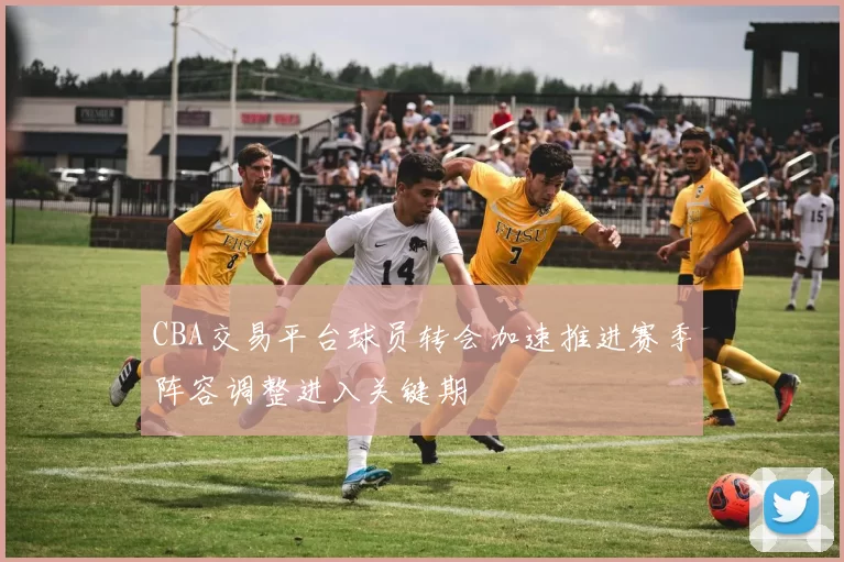 CBA交易平台球员转会加速推进赛季阵容调整进入关键期