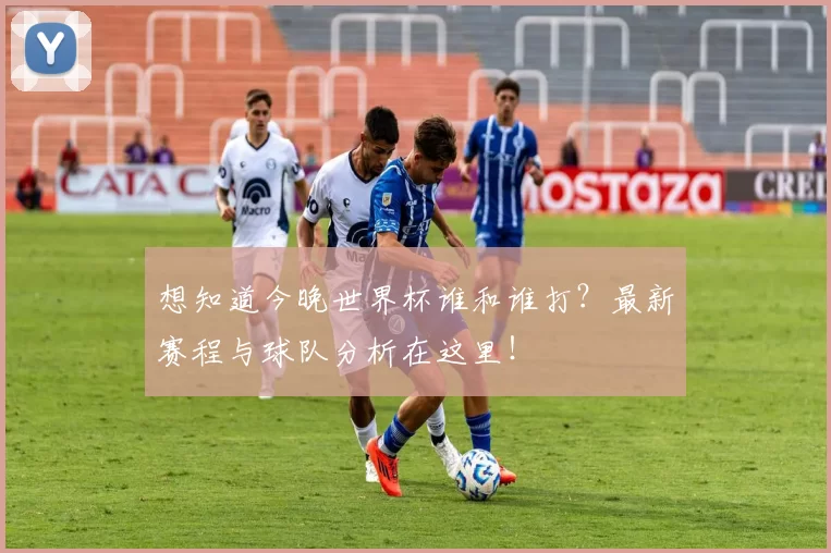 想知道今晚世界杯谁和谁打？最新赛程与球队分析在这里！