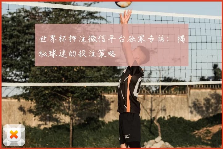世界杯押注微信平台独家专访:揭秘球迷的投注策略
