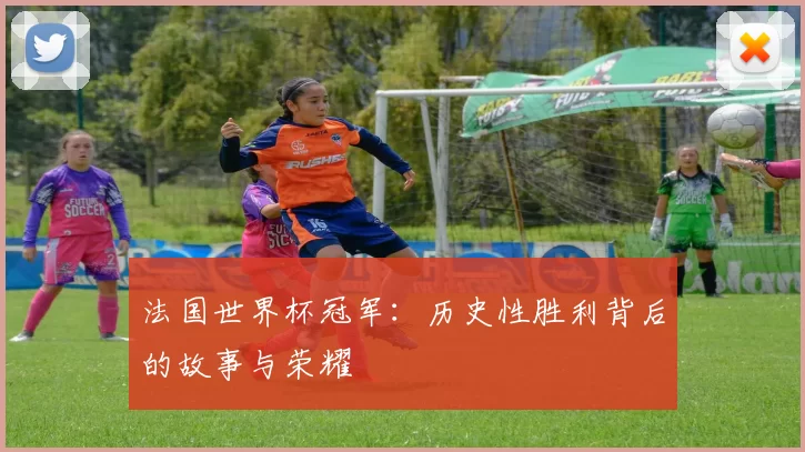 法国世界杯冠军：历史性胜利背后的故事与荣耀