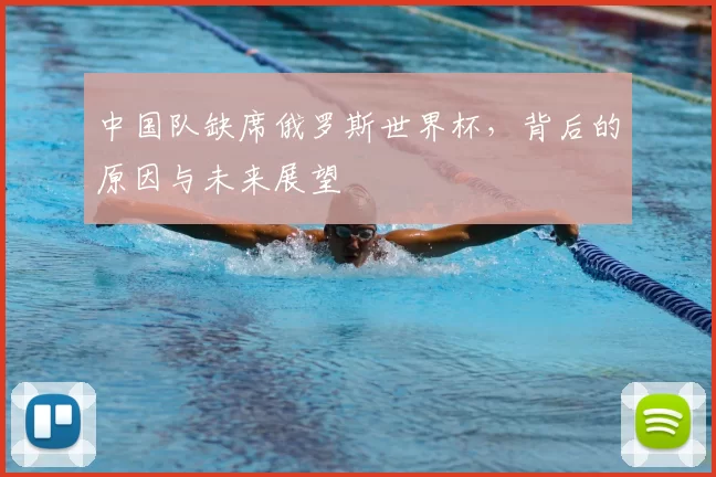 中国队缺席俄罗斯世界杯，背后的原因与未来展望