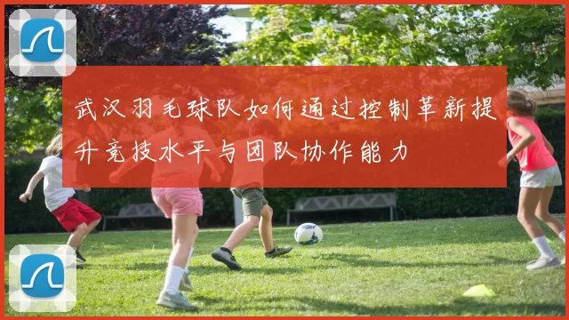 武汉羽毛球队如何通过控制革新提升竞技水平与团队协作能力