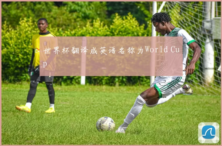 世界杯翻译成英语名称为World Cup