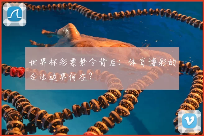 世界杯彩票禁令背后：体育博彩的合法边界何在？