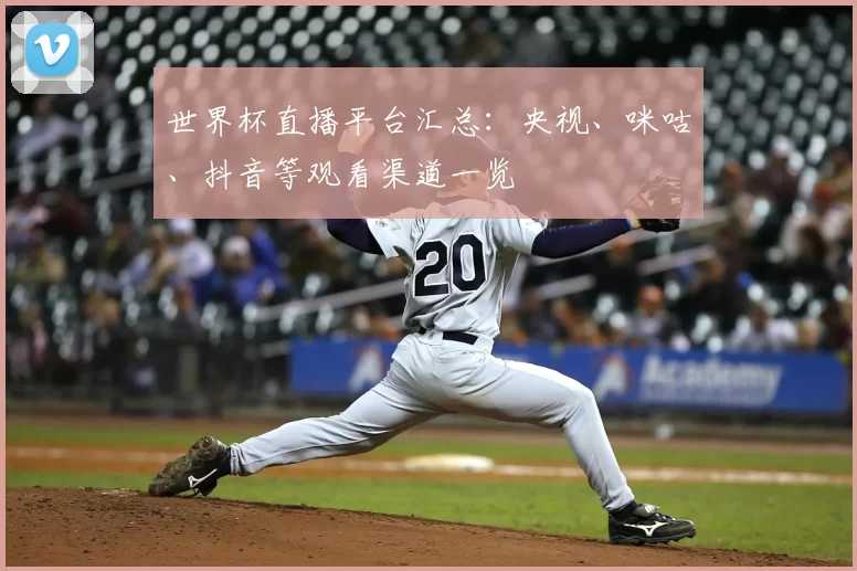 世界杯直播平台汇总：央视、咪咕、抖音等观看渠道一览