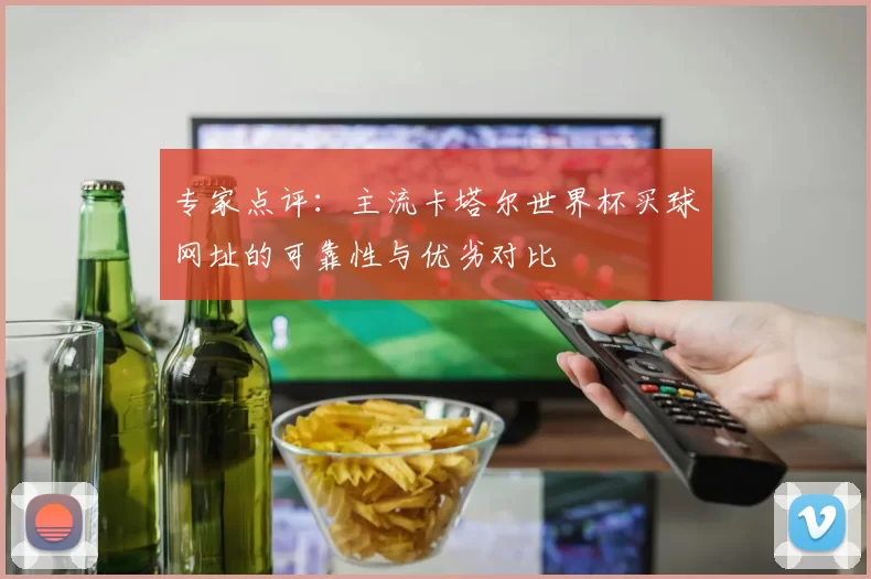 专家点评：主流卡塔尔世界杯买球网址的可靠性与优劣对比