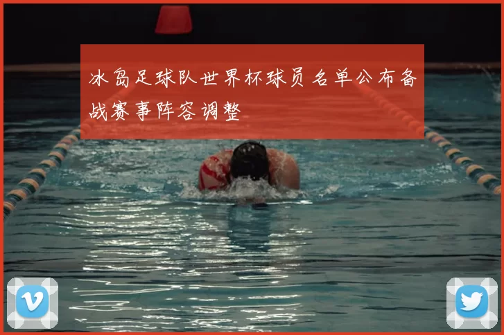 冰岛足球队世界杯球员名单公布备战赛事阵容调整