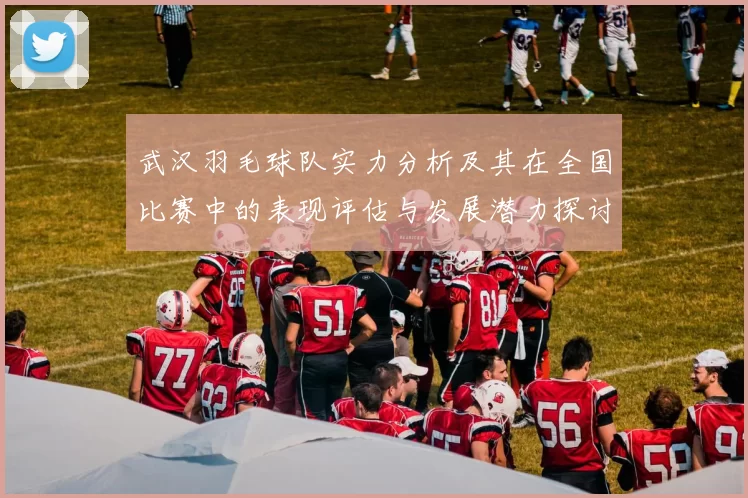 武汉羽毛球队实力分析及其在全国比赛中的表现评估与发展潜力探讨