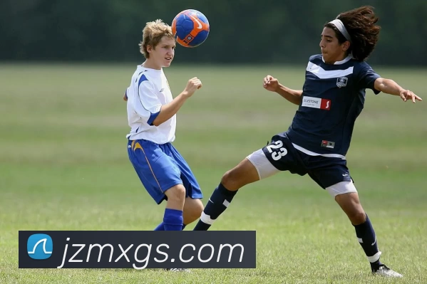 华体平台生态图